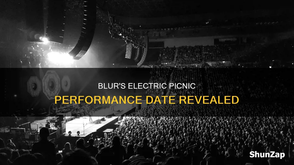 what day is blur playing electric picnic