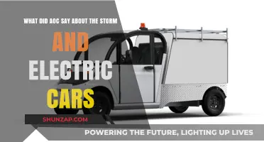 AOC's Take: The Storm's Impact on Electric Car Reliability