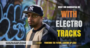 How Bambaataa Transformed Electro Tracks