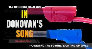 Electrical Banana: Decoding Donovan's Song Lyrics