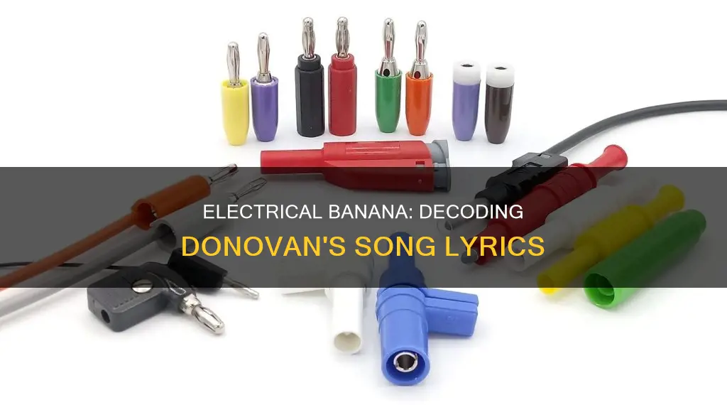 what did electrical banana mean in donovan