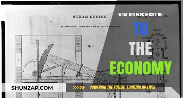 Electricity's Economic Impact: Powering Growth and Innovation