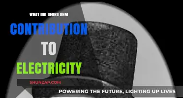 Georg Ohm's Electricity Law: Resistance and Legacy