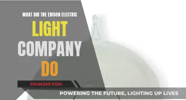 Edison's Electric Light Company: Illuminating the World with Innovation