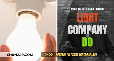 Edison Electric Light Company: Illuminating the World