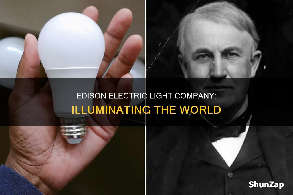 what did the edison electric light company do