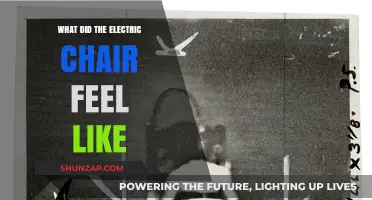 The Electric Chair: A Horrific Execution Experience