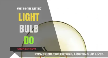 Electric Light Bulb: A Revolutionary Innovation