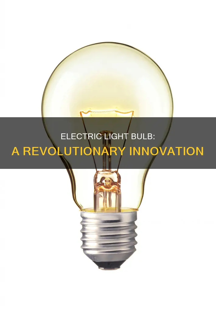 what did the electric light bulb do
