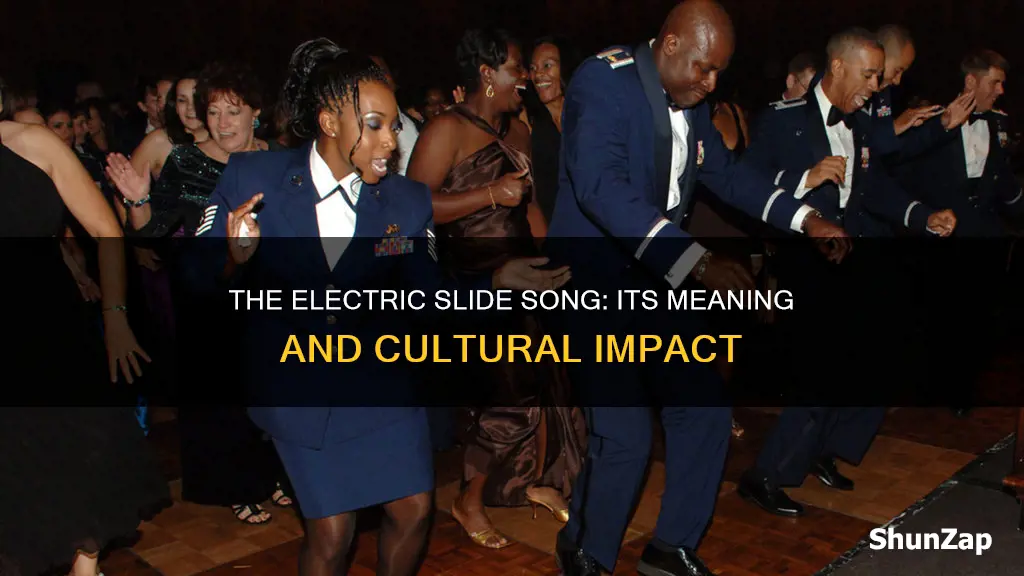 what did the song electric slide mean