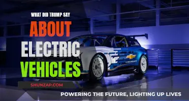 Trump's Take on Electric Vehicles: Support or Skepticism?