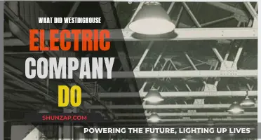 Westinghouse Electric Company: Powering the World with Innovation