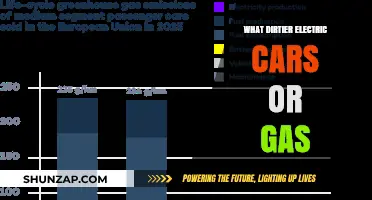 Electric vs. Gas Cars: Which Pollutes More in the Long Run?