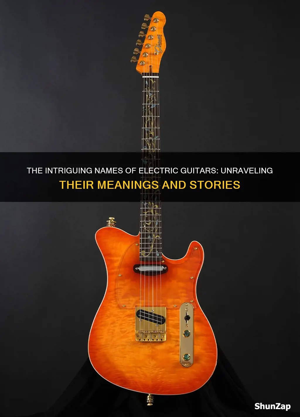 what do all the names of electric guitars mean