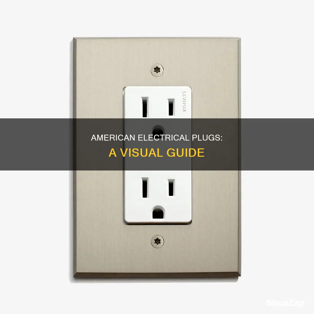 what do american electrical plugs look like