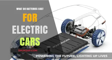 Electric Car Battery Costs: What to Expect and How to Save