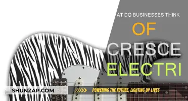 Crescent Electric: Business Insights and Impressions
