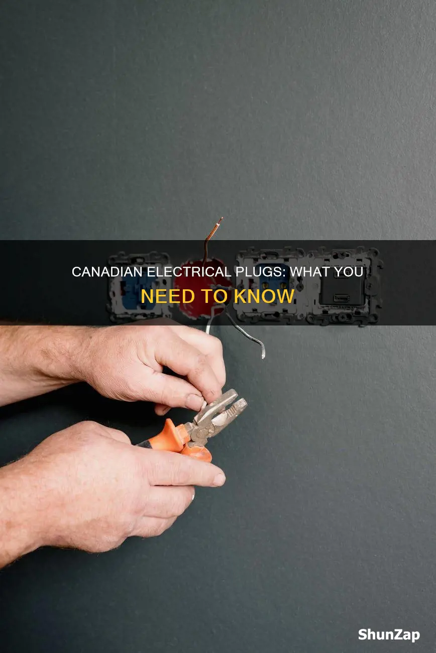 what do canadian electrical plugs look like