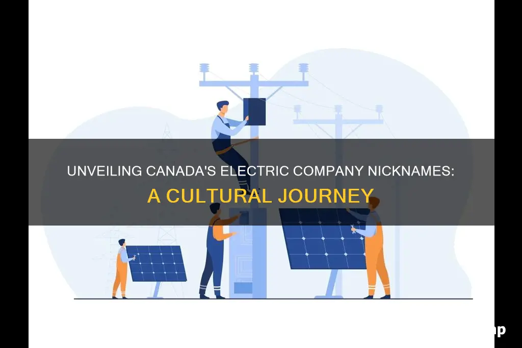 what do canadians call the electric company