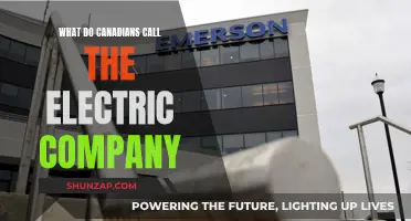 Electric Company: What's in a Name for Canadians?