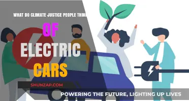 Electric Cars: Climate Justice Perspectives on Sustainability and Equity