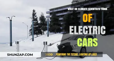 Electric Cars: Climate Scientists' Views on Their Environmental Impact