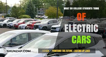 College Students' Perspectives on Electric Cars: Opinions and Insights