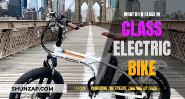 Electric Bike Classes: Understanding the M and D Categories