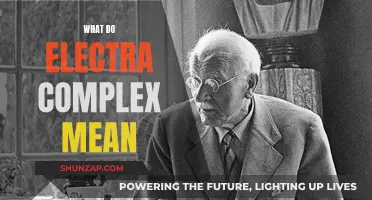 Electra Complex: Understanding a Girl's Unconscious Attraction to Father