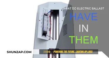 Electric Ballast: What's Inside and Why?
