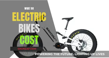 Electric Bike Costs: How Much Do They Really Cost?