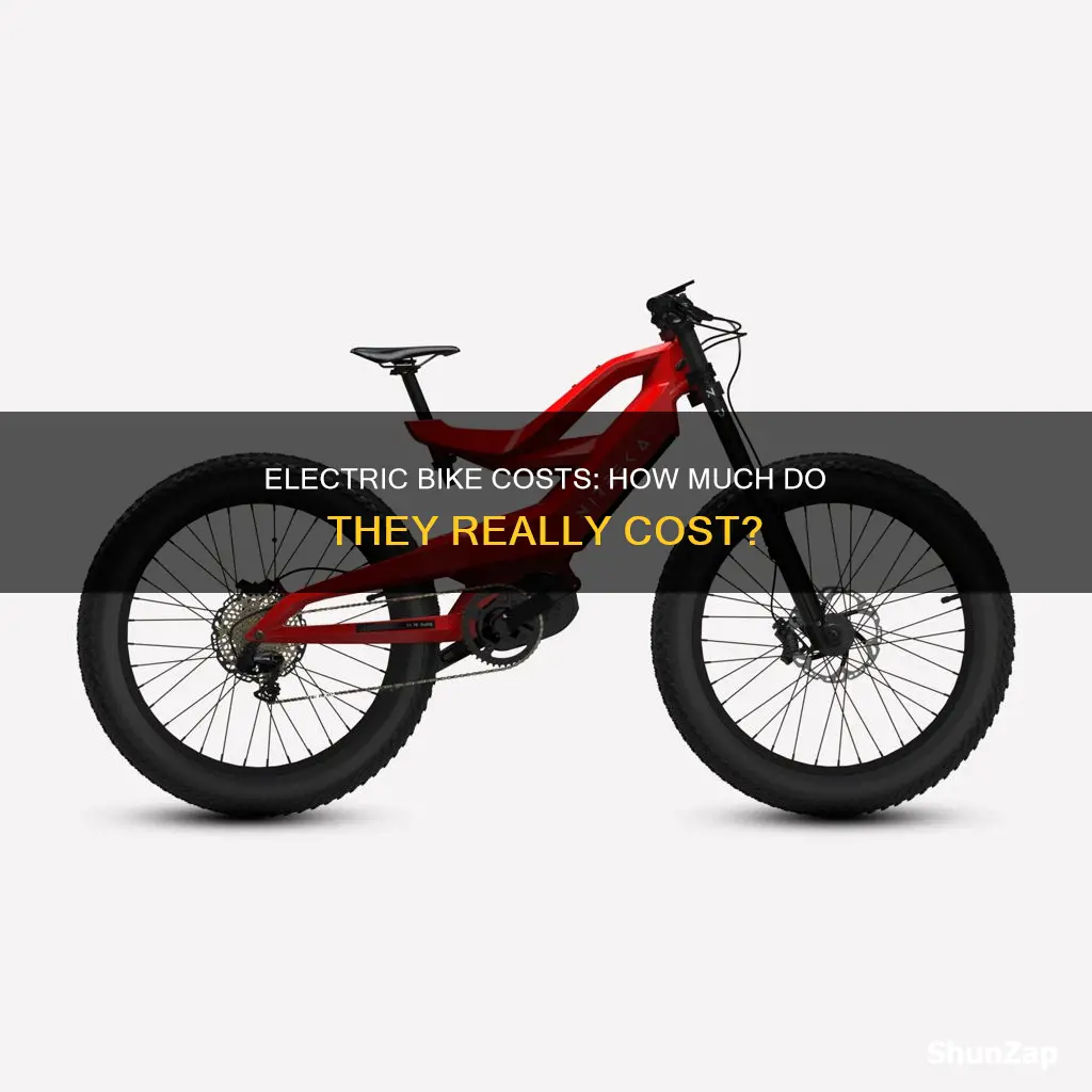 what do electric bikes cost