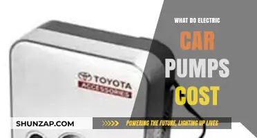 Electric Car Pump Costs: What to Expect for Your EV