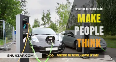 Electric Cars: Shaping Public Perception and Future Mobility Trends