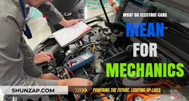 Electric Cars: Transforming Mechanics' Roles and Future Workshops