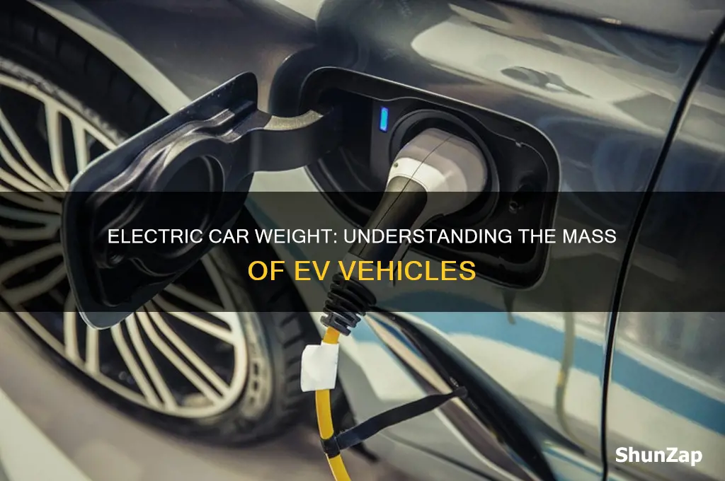 what do electric cars weigh