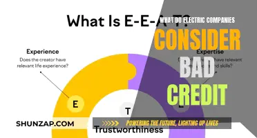 Electricity Providers' Criteria for Bad Credit: Unlocking the Mystery