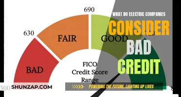 Electric Companies: Understanding Their Bad Credit Criteria