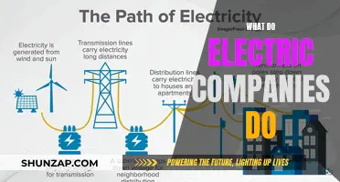 Powering Our World: The Role of Electric Companies