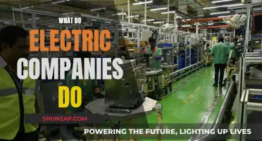 Electric Companies: Powering Our World, How?