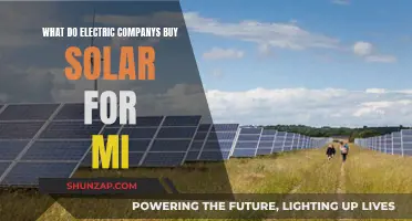 Electric Companies: Solar Power Purchase Benefits and Incentives