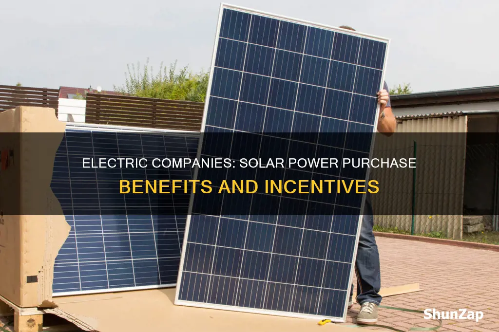 what do electric companys buy solar for mi