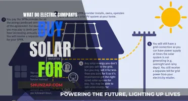 Solar Power: The Electric Company's Green Energy Investment