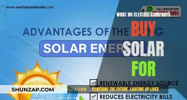 Why Electric Companies Are Investing in Solar Energy