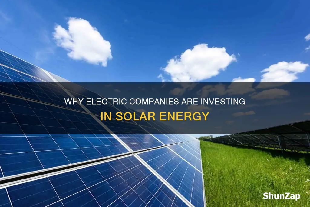 what do electric companys buy solar for