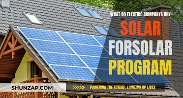 Unlocking Solar Potential: Electric Companies' Solar Program Purchases