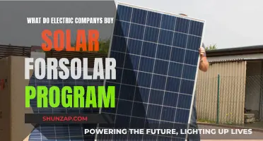 Electric Companies: Why Solar Power Purchase Makes Sense