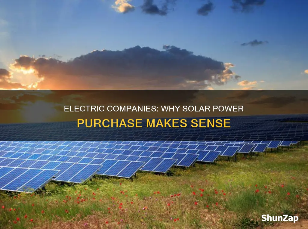 what do electric companys buy solar forsolar program