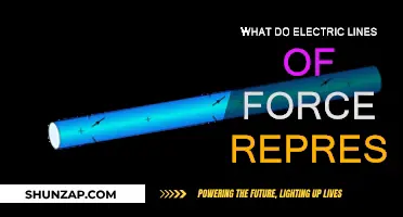 Understanding Electric Fields: Lines of Force Explained