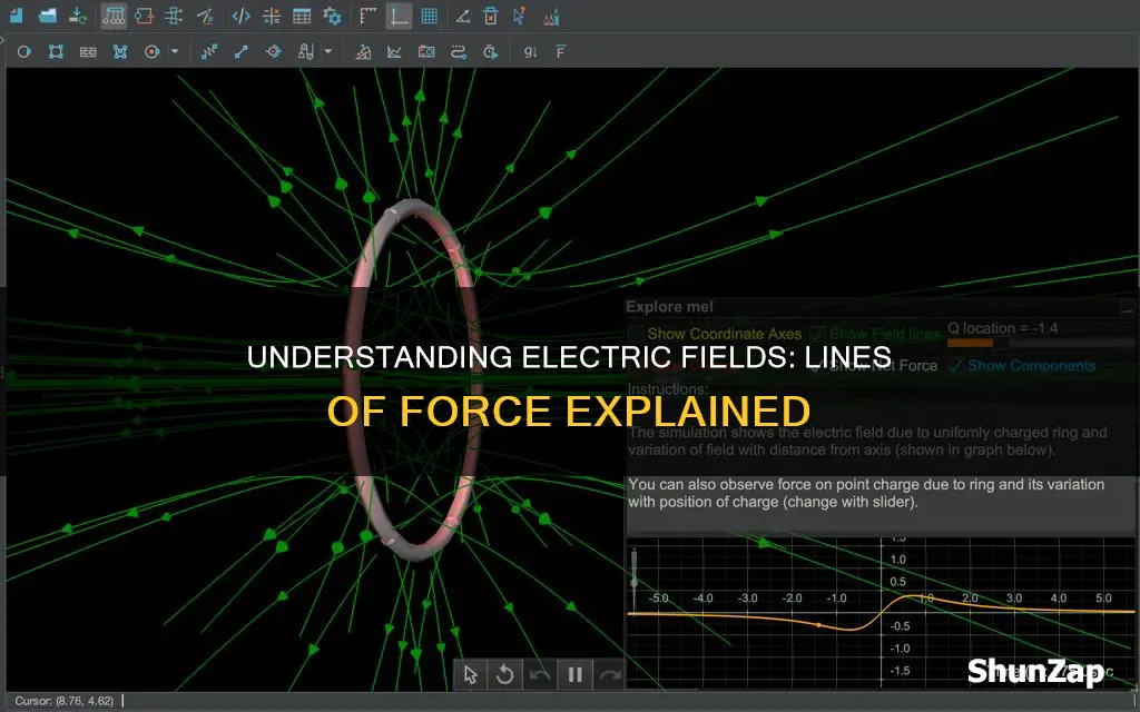 what do electric lines of force represent